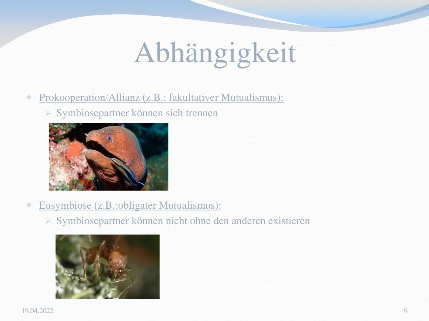 # Symbiose

Sina Schumacher, Q1, GK Frau Seul

19.04.2022

1 Inhaltsverzeichnis

• Definition
• Überblick:
  • Mutualismus
  • Kommensalismu