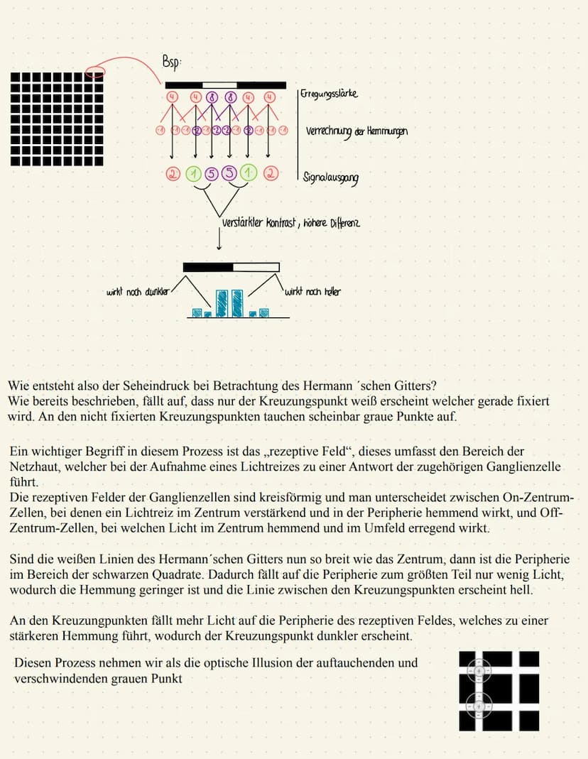 DAS HERMANN SCHE GITTER
Das Hermann´sche Gitter (links abgebildet) ist eine optische Täuschung und
wurde von Ludimar Hermann entdeckt.
Diese