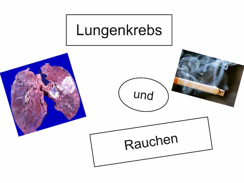 
<h2 id="1einleitung">1. Einleitung</h2>
<p>Warum habe ich mich für dieses Thema entschieden? Ich wurde täglich mit dem Rauchen konfrontiert