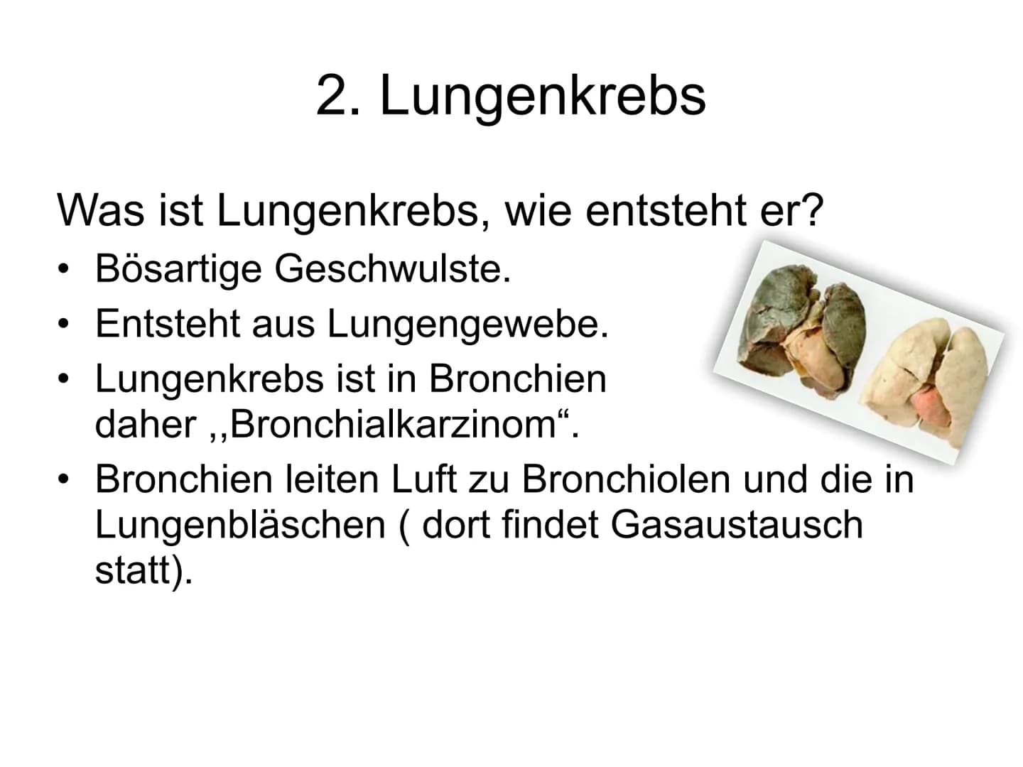 
<h2 id="1einleitung">1. Einleitung</h2>
<p>Warum habe ich mich für dieses Thema entschieden? Ich wurde täglich mit dem Rauchen konfrontiert