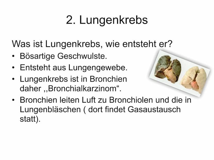 
<h2 id="1einleitung">1. Einleitung</h2>
<p>Warum habe ich mich für dieses Thema entschieden? Ich wurde täglich mit dem Rauchen konfrontiert