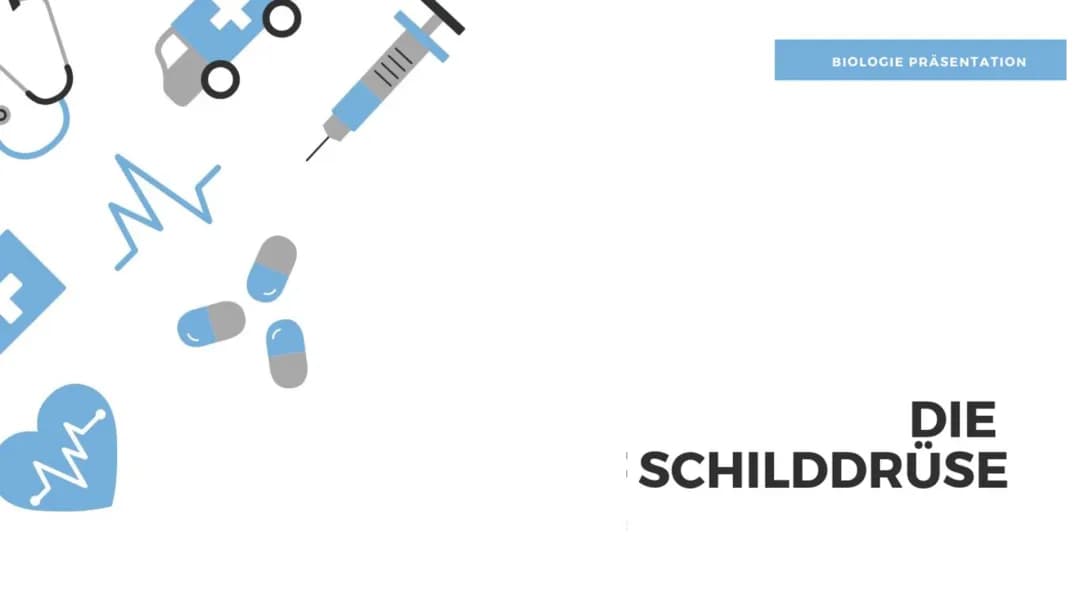 Alles über Schilddrüsenprobleme: Schilddrüsenunterfunktion und Schilddrüsenüberfunktion verstehen