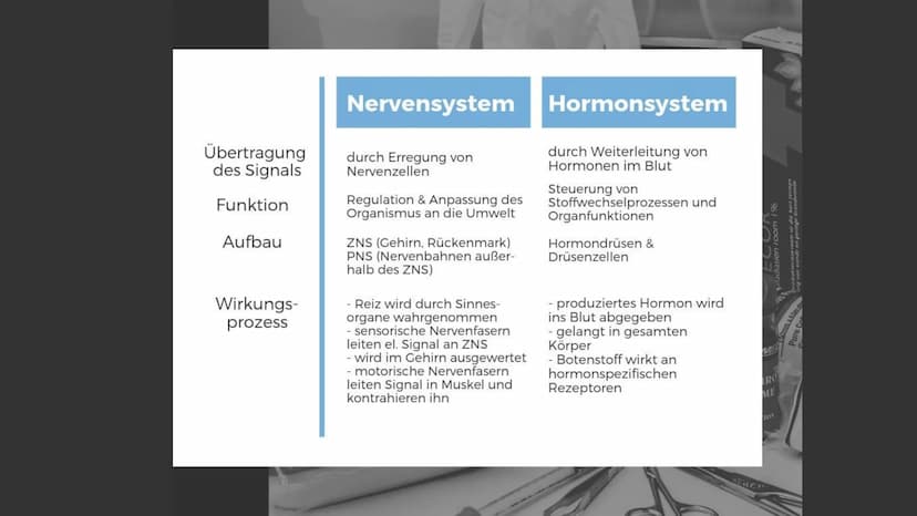 M
K
BIOLOGIE PRÄSENTATION
DIE
SCHILDDRÜSE Gliederung
> Allgemeines
Die Thyroxinherstellung
a) Wirkung
b) Regulationsprinzip
c) Regelkreissch