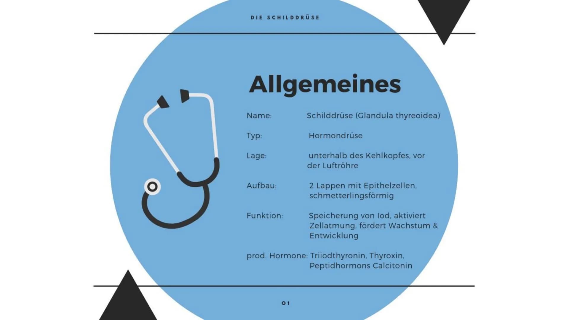 M
K
BIOLOGIE PRÄSENTATION
DIE
SCHILDDRÜSE Gliederung
> Allgemeines
Die Thyroxinherstellung
a) Wirkung
b) Regulationsprinzip
c) Regelkreissch