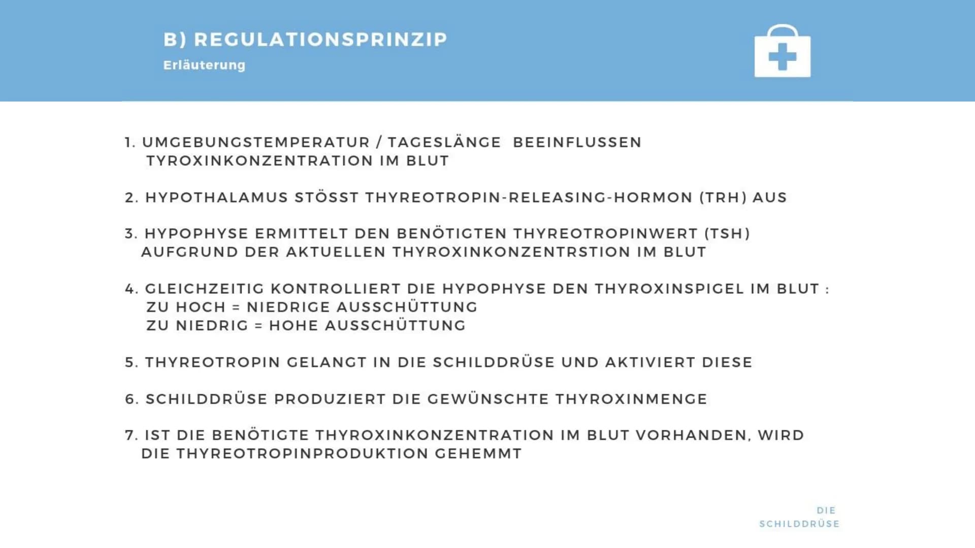 M
K
BIOLOGIE PRÄSENTATION
DIE
SCHILDDRÜSE Gliederung
> Allgemeines
Die Thyroxinherstellung
a) Wirkung
b) Regulationsprinzip
c) Regelkreissch