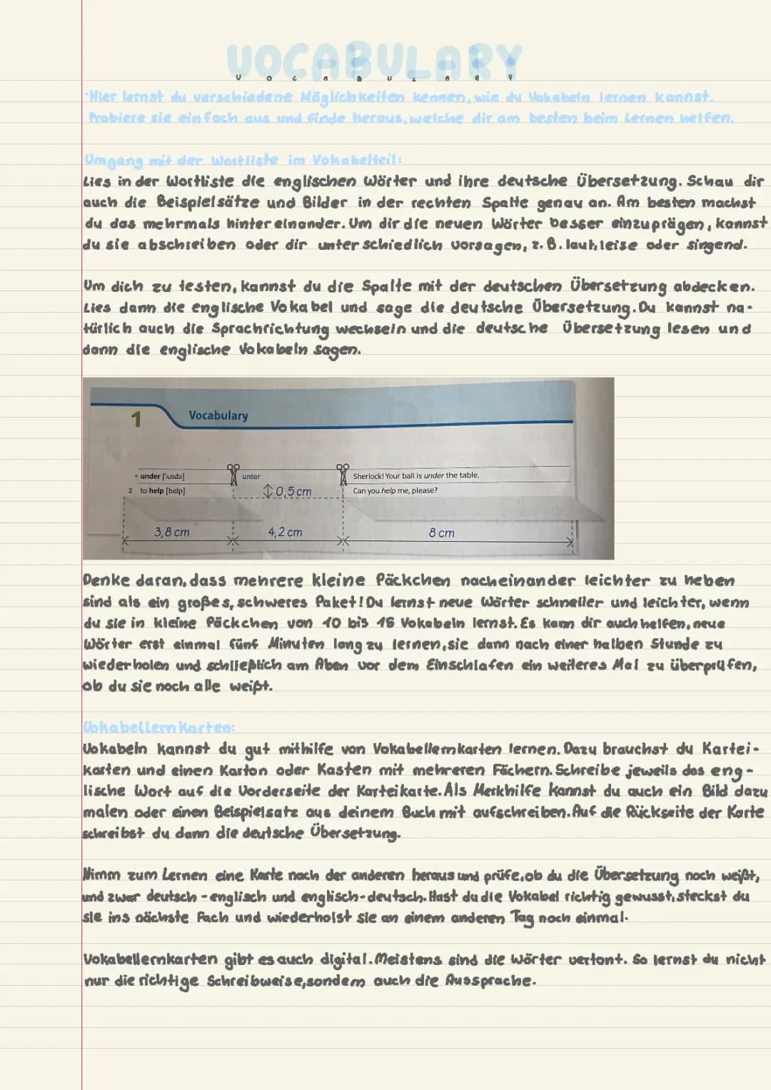 Vokabeln richtig lernen