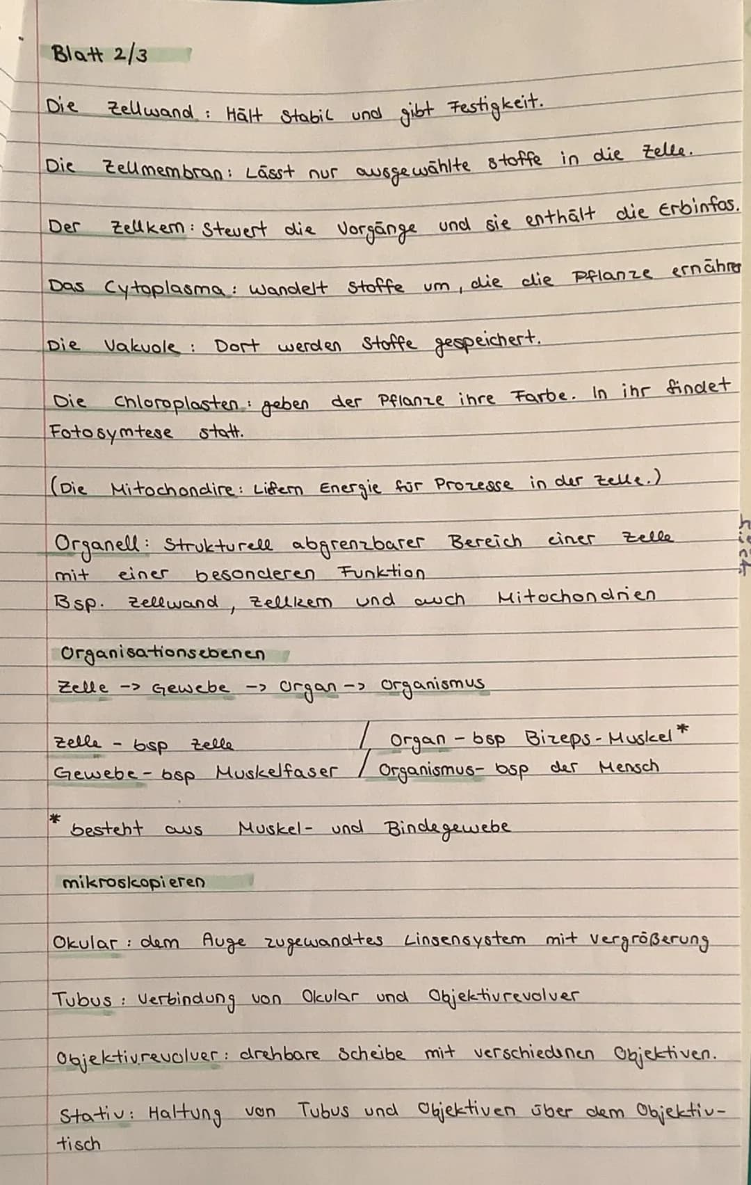 Blatt 1/3
Zelle
Lehrsatz von
Schleiclen
=Alle Lebewesen sind aus
Warum
Als Hooke
Biologie
Zellwand. Also wollte
den gekammerten Aufbau
Beweg