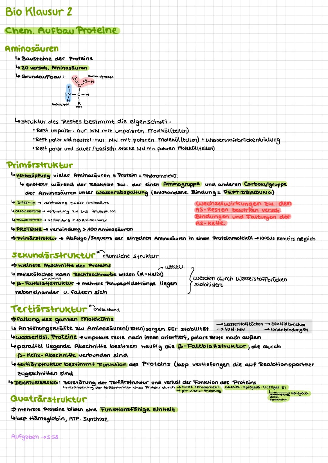 chemischer Aufbau der Proteine, Enzyme, Zellatmung