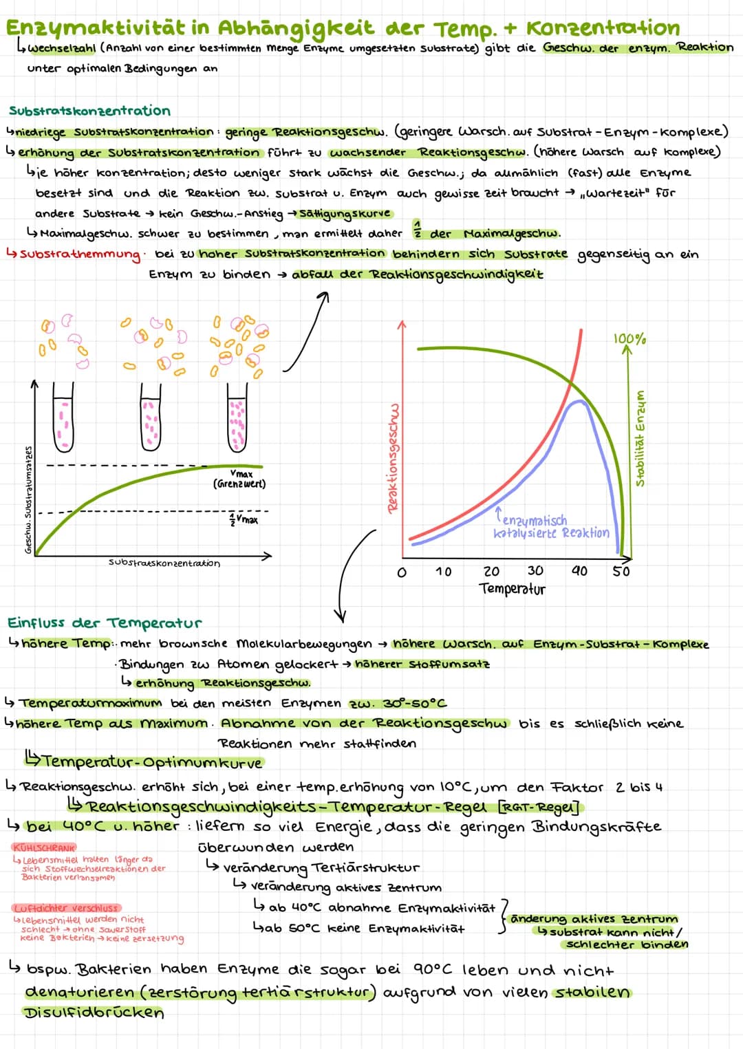 Bio Klausur 2
Chem. Aufbau Proteine
Aminosäuren
↳ Bausteine der Proteine
420 versch. Aminosäuren
↳ Grundaufbow:
H
Aminogruppe
10=
Carboxylgr