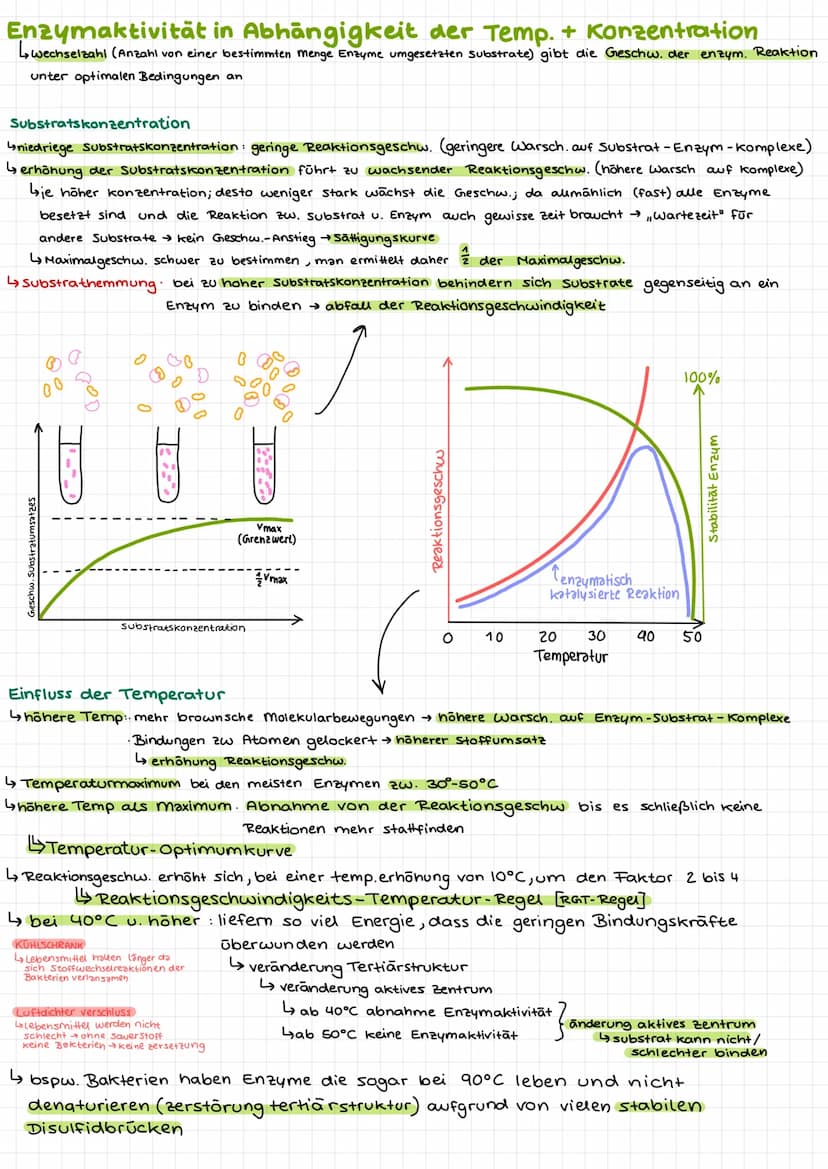 Bio Klausur 2
Chem. Aufbau Proteine
Aminosäuren
↳ Bausteine der Proteine
420 versch. Aminosäuren
↳ Grundaufbow:
H
Aminogruppe
10=
Carboxylgr