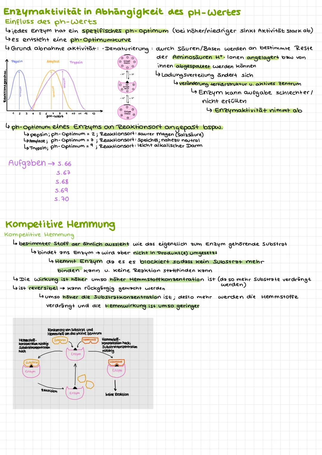 Bio Klausur 2
Chem. Aufbau Proteine
Aminosäuren
↳ Bausteine der Proteine
420 versch. Aminosäuren
↳ Grundaufbow:
H
Aminogruppe
10=
Carboxylgr