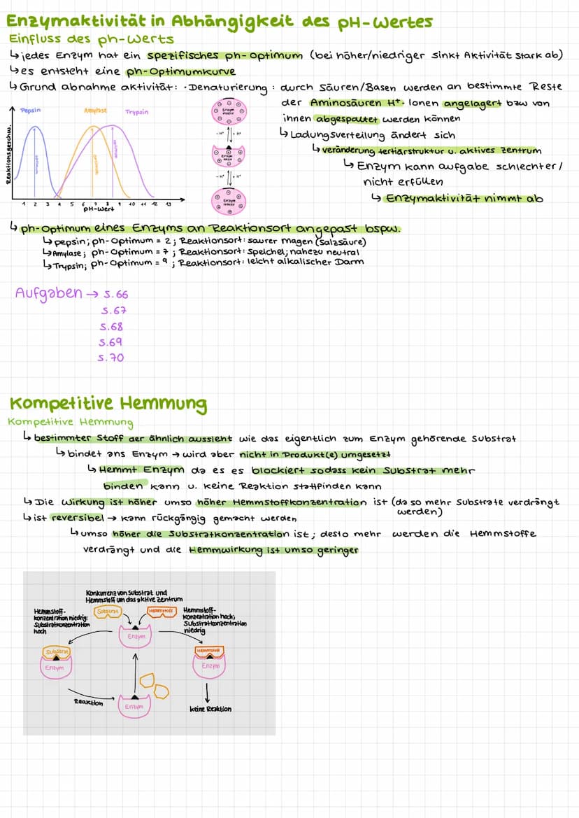Bio Klausur 2
Chem. Aufbau Proteine
Aminosäuren
↳ Bausteine der Proteine
420 versch. Aminosäuren
↳ Grundaufbow:
H
Aminogruppe
10=
Carboxylgr