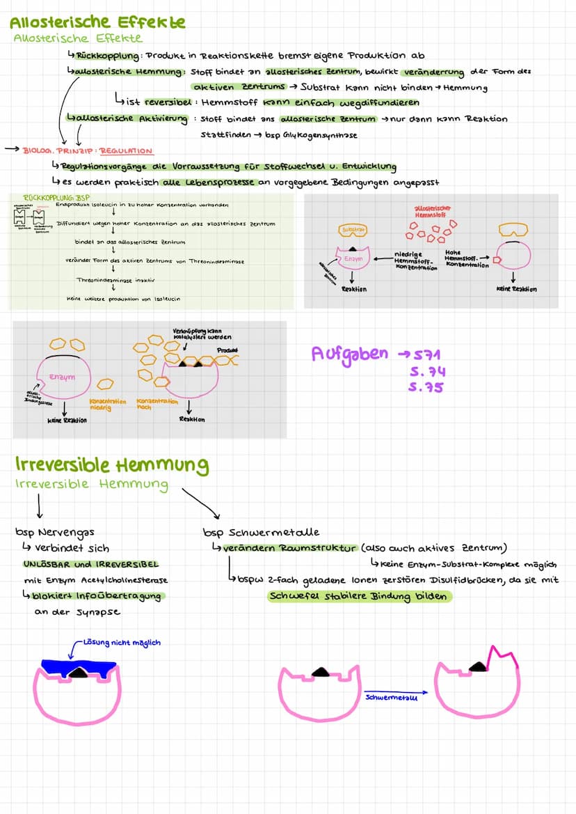 Bio Klausur 2
Chem. Aufbau Proteine
Aminosäuren
↳ Bausteine der Proteine
420 versch. Aminosäuren
↳ Grundaufbow:
H
Aminogruppe
10=
Carboxylgr