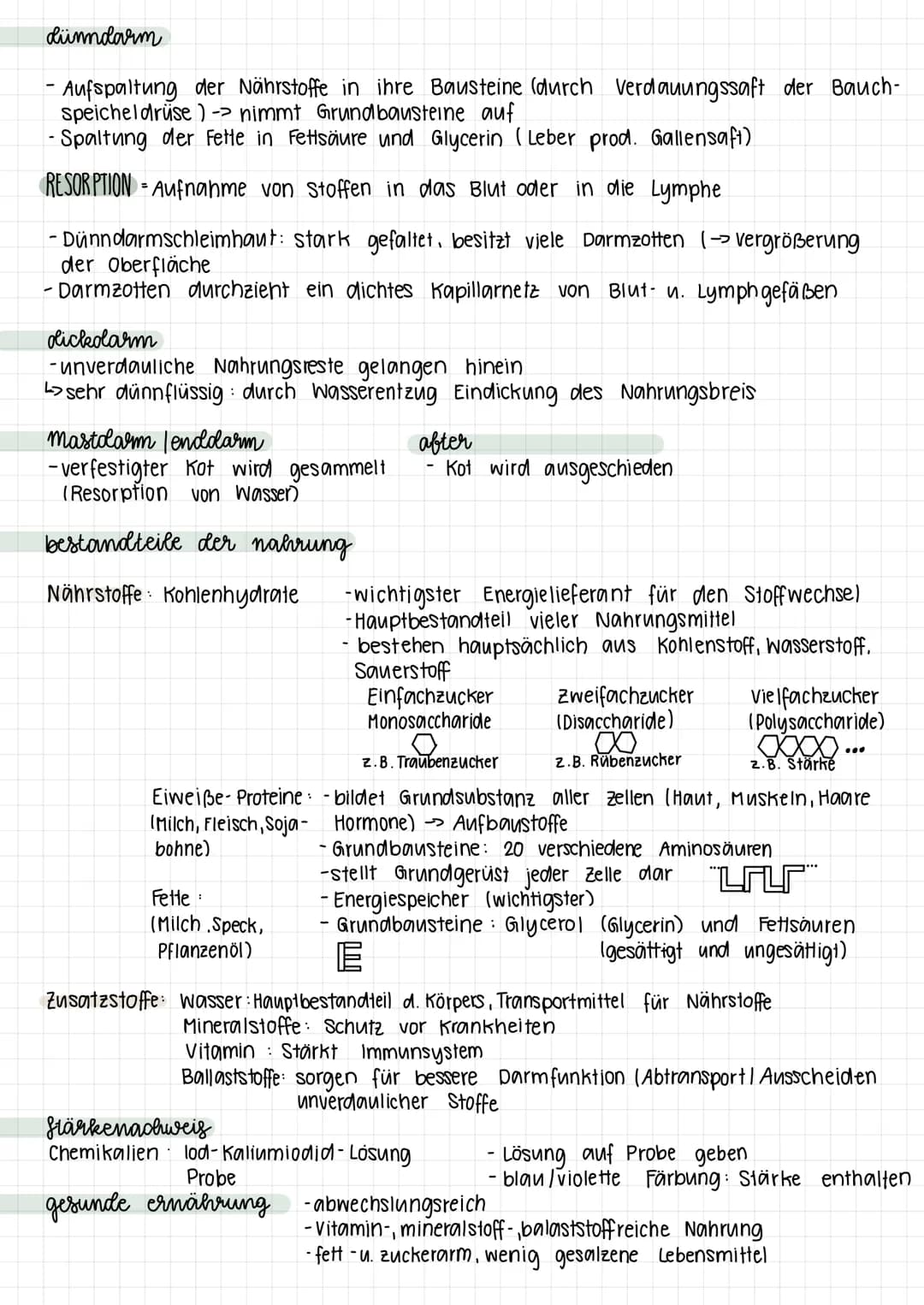 VERDAUUNGSYSTEM
Leber
Bauchspeicheldrüse
Gallenblase
THEMA 1
BAU & LEISTUNGEN
des menschlichen körpers
Gebiss Zerkleinern
Mundhöhle Einspeic