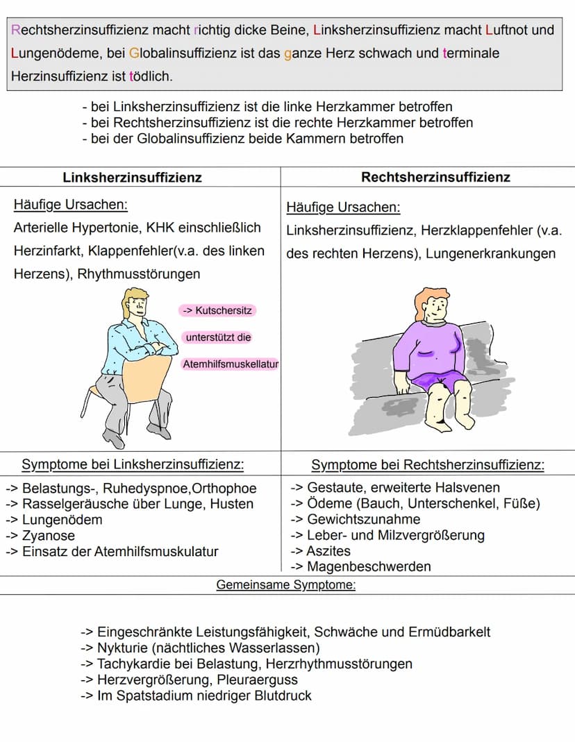 =Herzschwäche
Herzinsuffizienz
Myokardinsuffizienz
WWW
Symptome:
Definition:
-> Herz ist nicht mehr in der Lage, den Körper ausreichend mit 