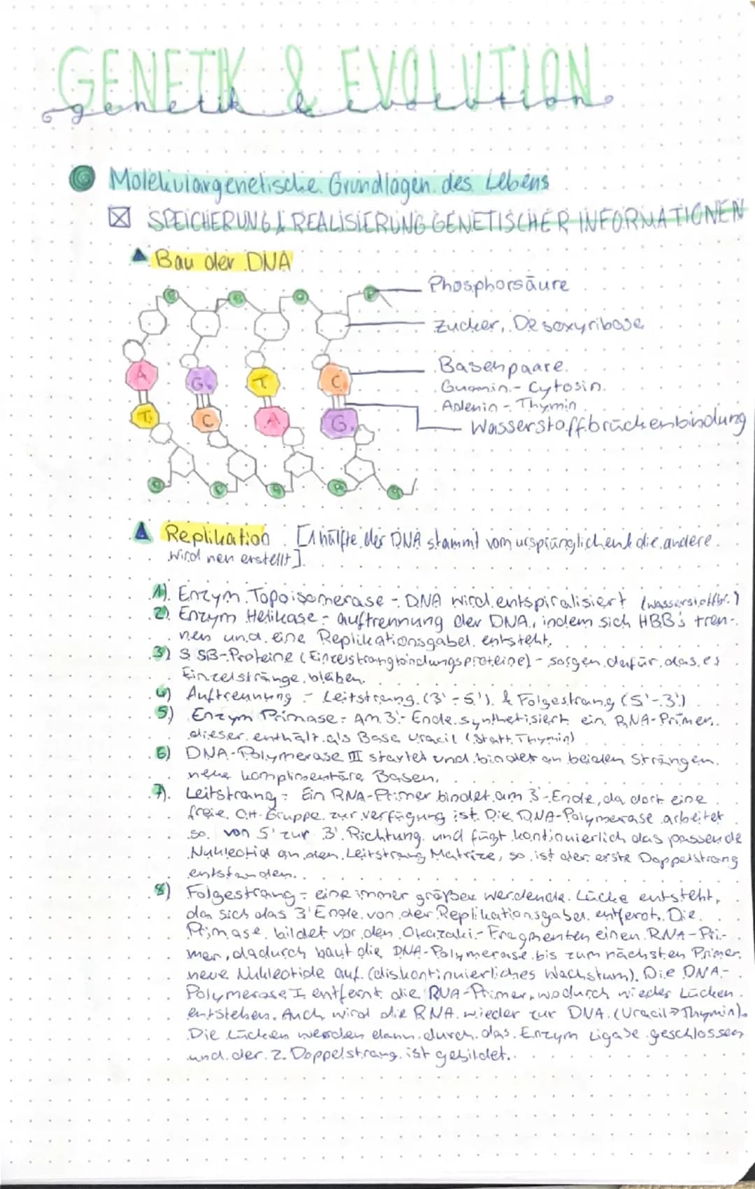 # GENETIK & EVOLUTION

genetik evolution

- Molekulargenetische Grundlagen des Lebens

- SPEICHERUNG & REALISIERUNG GENETISCHER INFORMATIONE