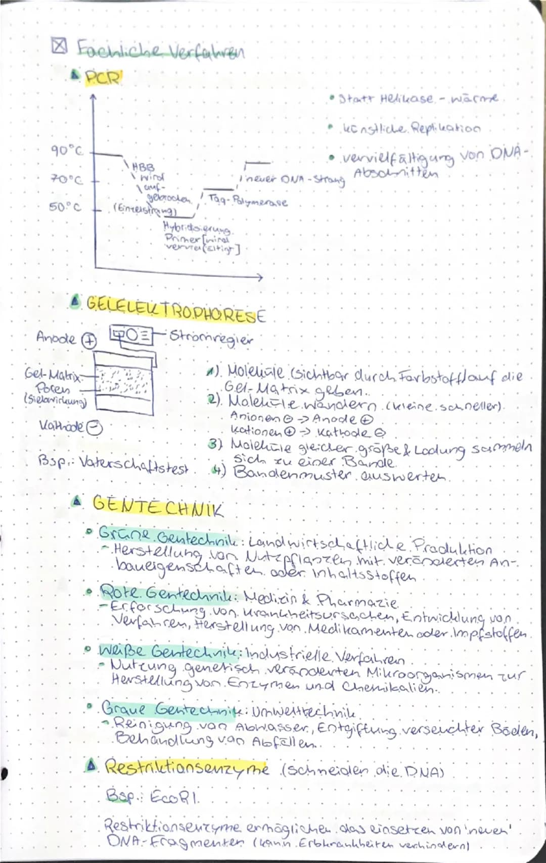 # GENETIK & EVOLUTION

genetik evolution

- Molekulargenetische Grundlagen des Lebens

- SPEICHERUNG & REALISIERUNG GENETISCHER INFORMATIONE