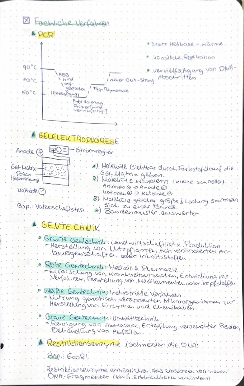 # GENETIK & EVOLUTION

genetik evolution

- Molekulargenetische Grundlagen des Lebens

- SPEICHERUNG & REALISIERUNG GENETISCHER INFORMATIONE