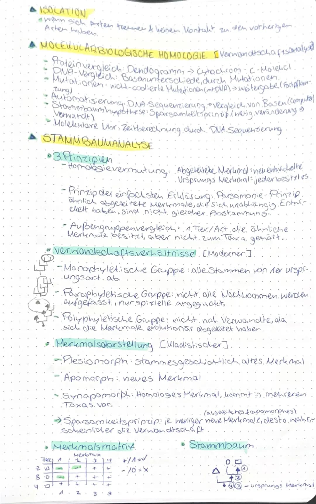 # GENETIK & EVOLUTION

genetik evolution

- Molekulargenetische Grundlagen des Lebens

- SPEICHERUNG & REALISIERUNG GENETISCHER INFORMATIONE