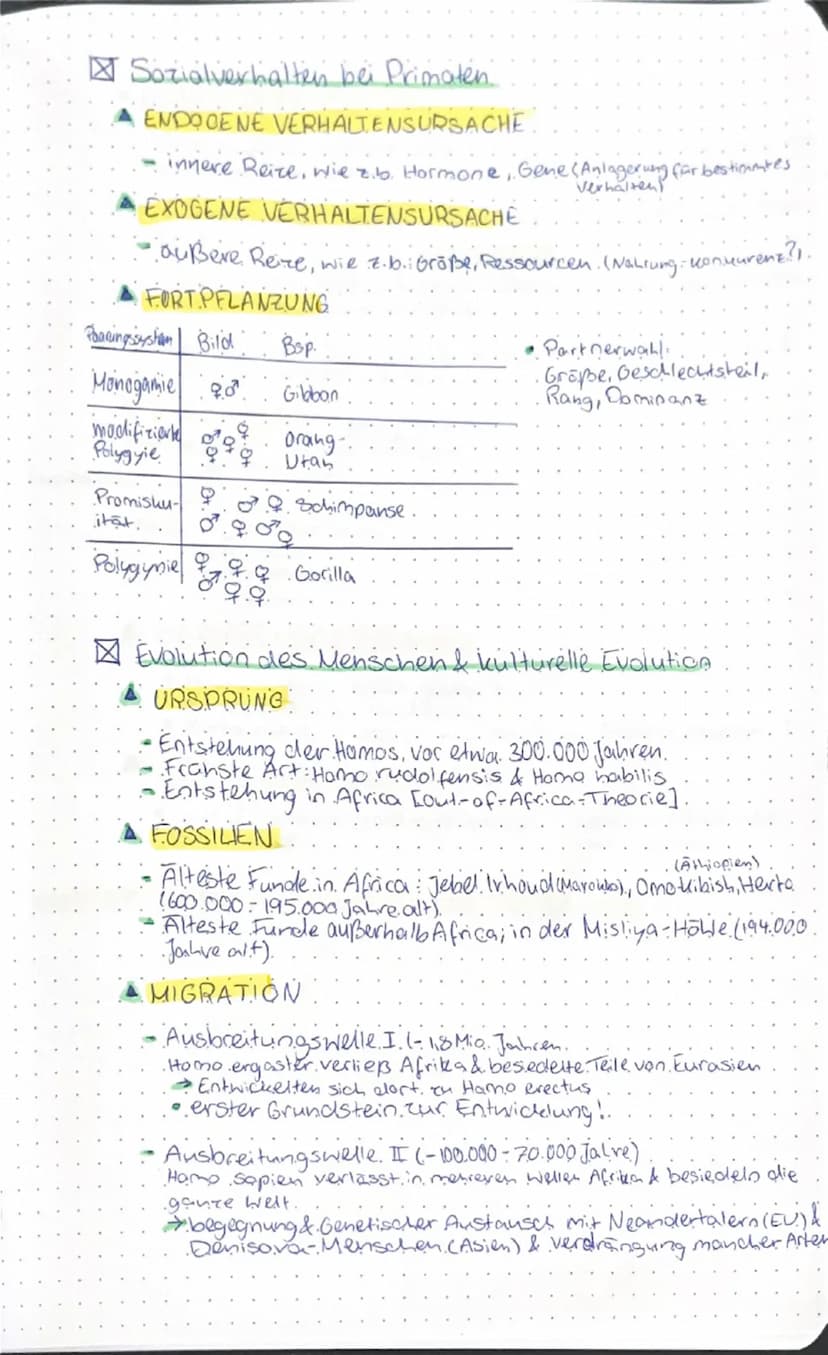 # GENETIK & EVOLUTION

genetik evolution

- Molekulargenetische Grundlagen des Lebens

- SPEICHERUNG & REALISIERUNG GENETISCHER INFORMATIONE