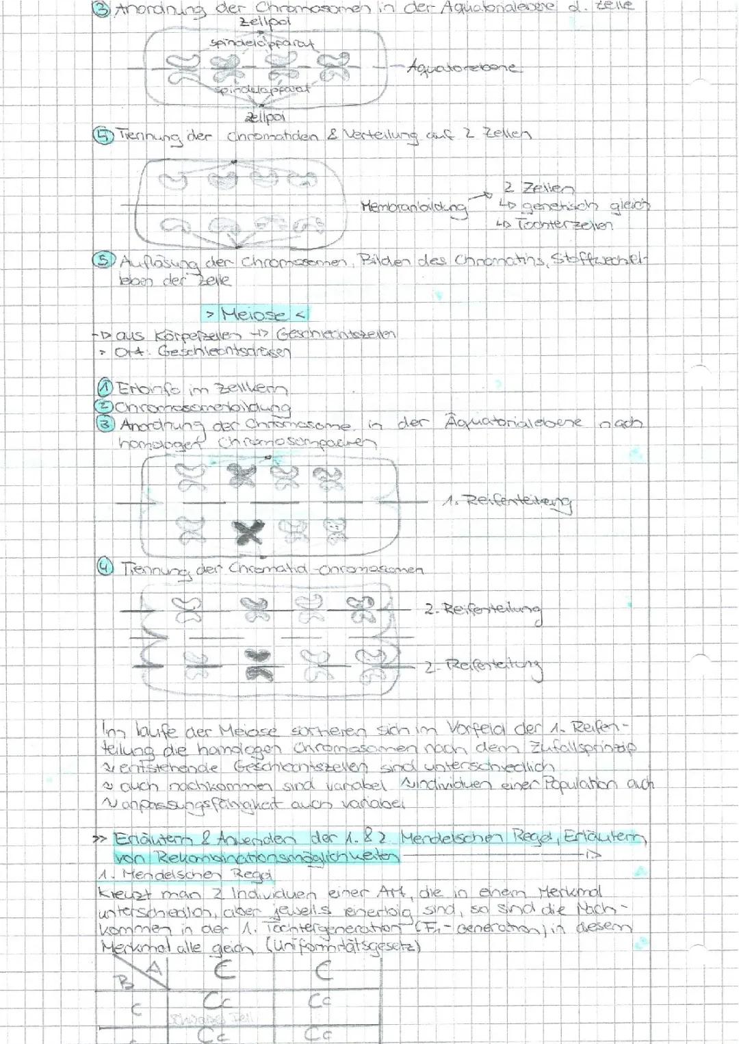 Biologie Prüfung Realschule 2024: Themen und Aufgaben für Klasse 10