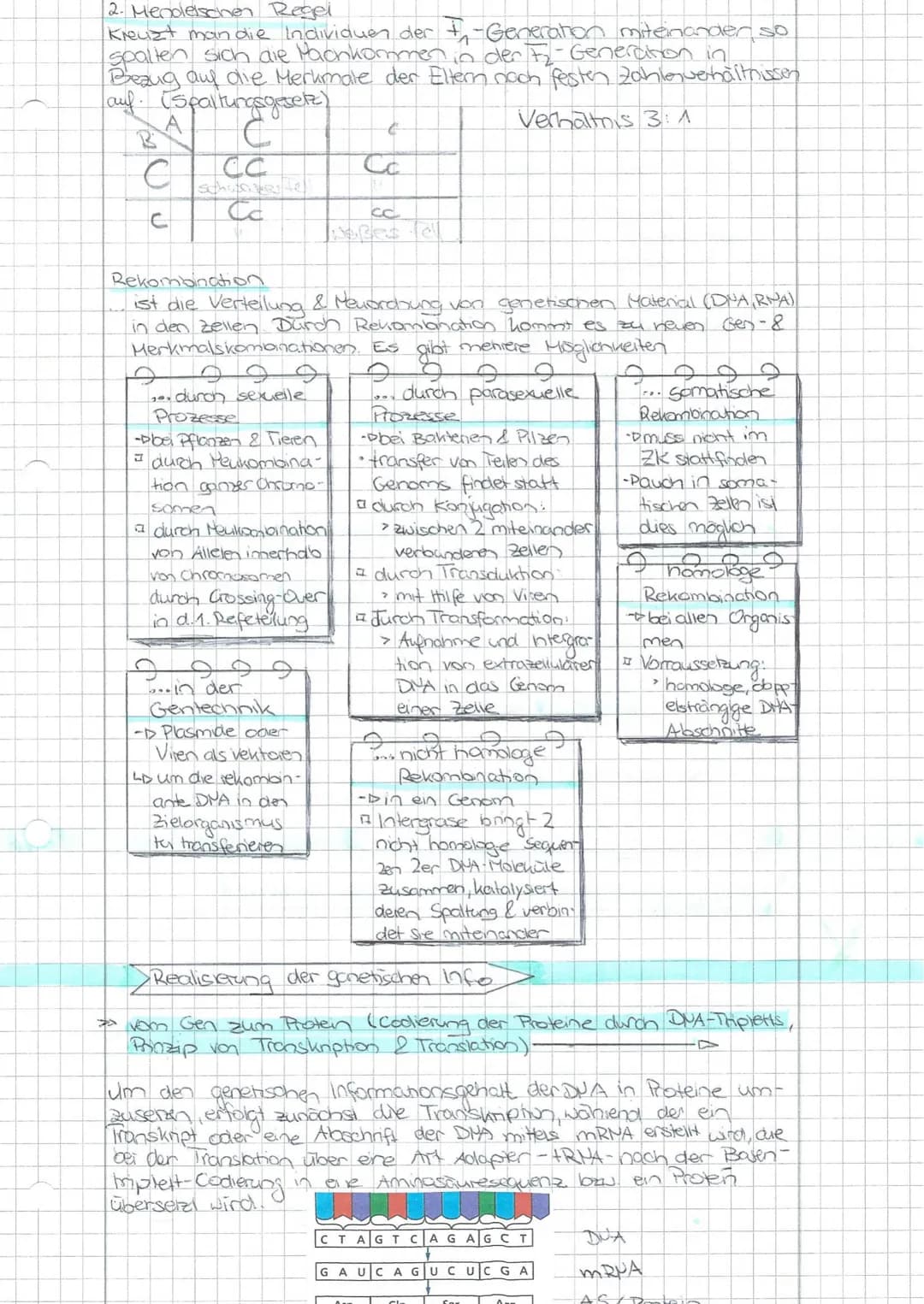 Schwerpunkte für die BLF - Biologie 20
Die Aufgaben beziehen sich auf die im Thüringer Lehrplan für den Erwerb der Allgemeinen Hochschulreif