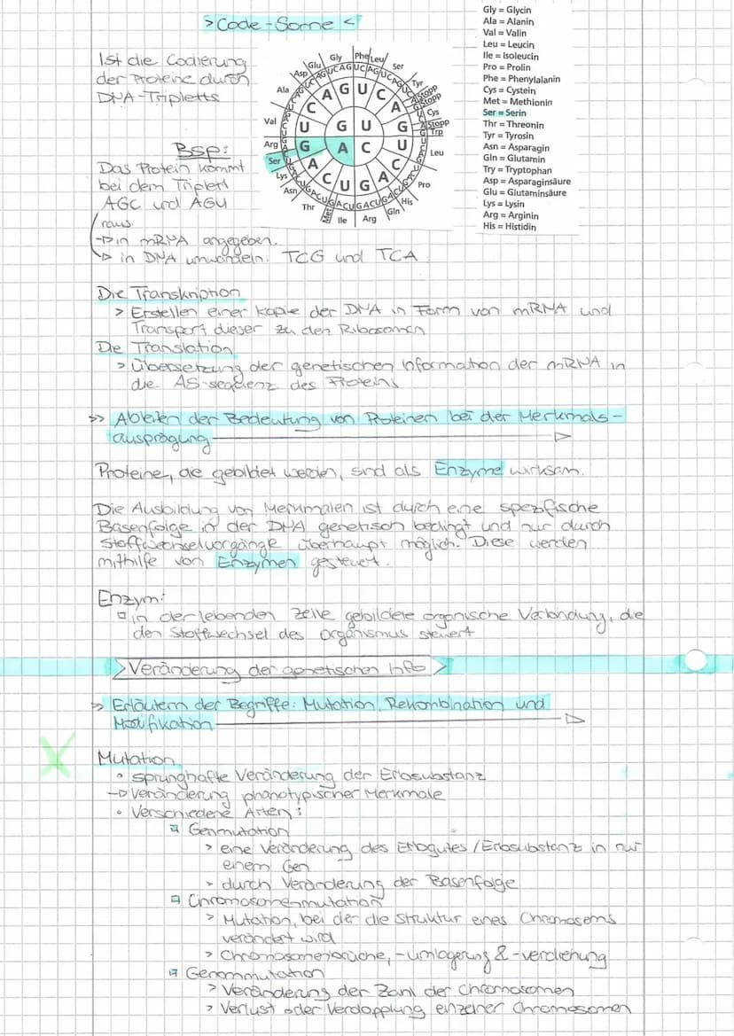 Schwerpunkte für die BLF - Biologie 20
Die Aufgaben beziehen sich auf die im Thüringer Lehrplan für den Erwerb der Allgemeinen Hochschulreif