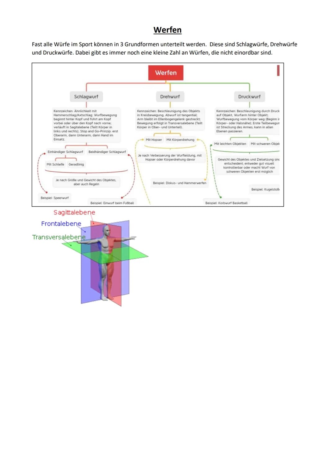 Werfen
Fast alle Würfe im Sport können in 3 Grundformen unterteilt werden. Diese sind Schlagwürfe, Drehwürfe
und Druckwürfe. Dabei gibt es i
