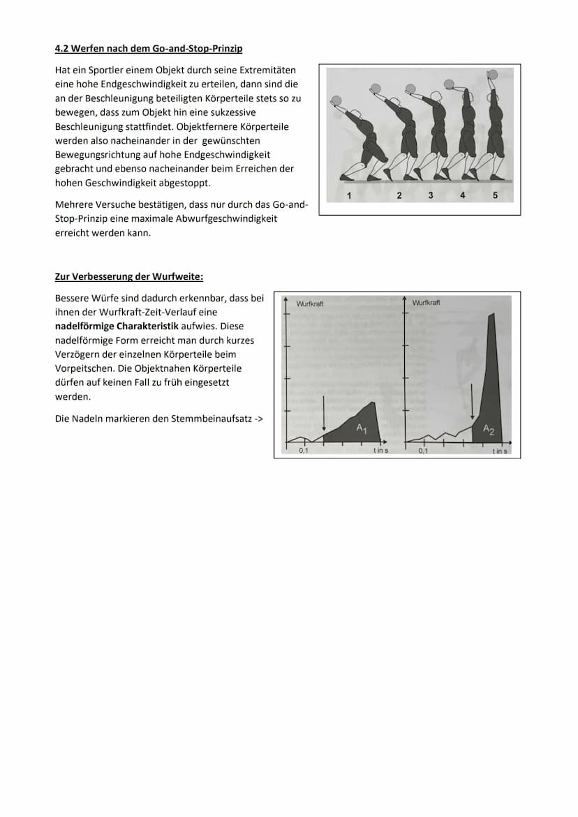 Werfen
Fast alle Würfe im Sport können in 3 Grundformen unterteilt werden. Diese sind Schlagwürfe, Drehwürfe
und Druckwürfe. Dabei gibt es i