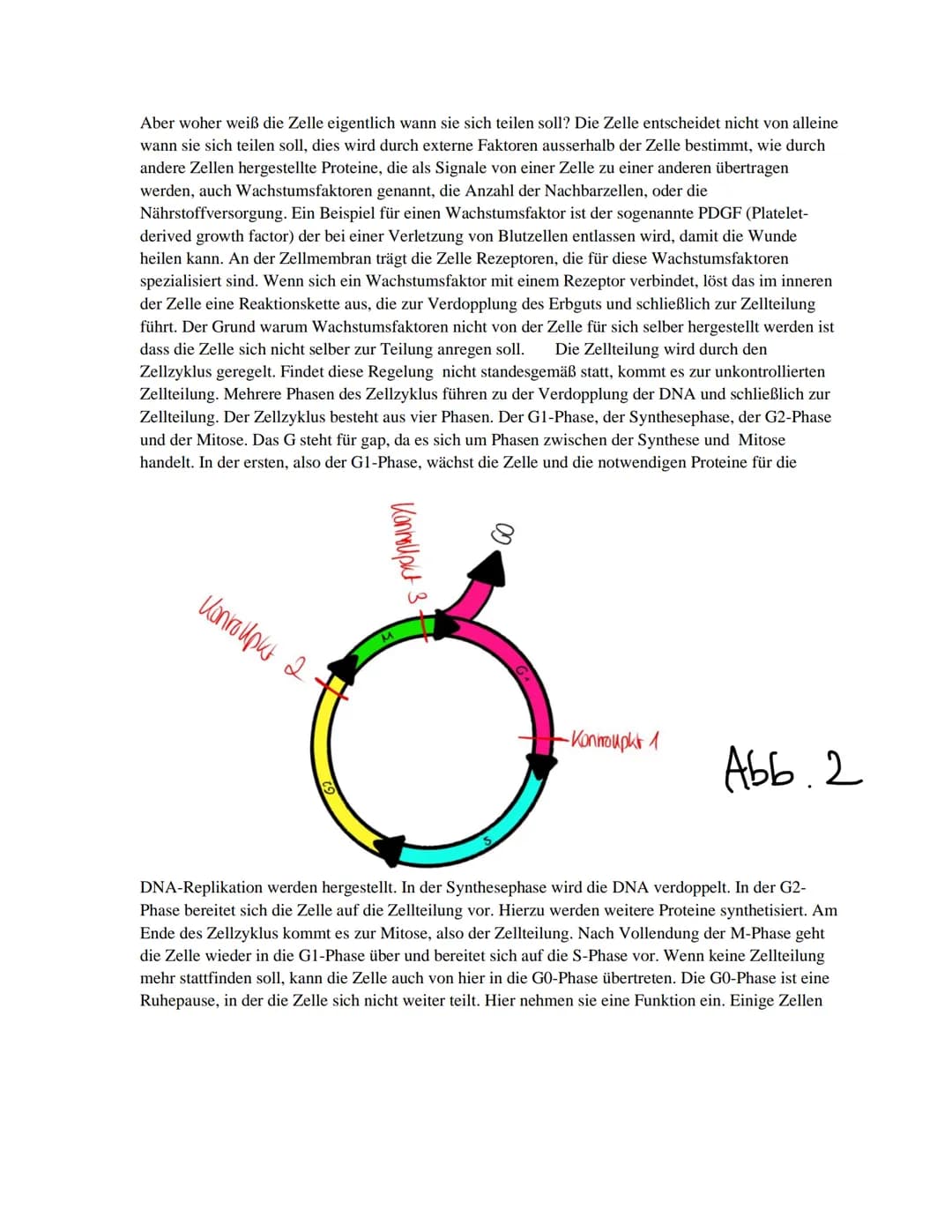 GFS
Schriftliche Ausarbeitung
Thema:
Krebs
Biologie Basiskurs Klasse 11
Schuljahr 2020/2021 Inhalt
1. Einführung
2. Definition
3. Krebsarten