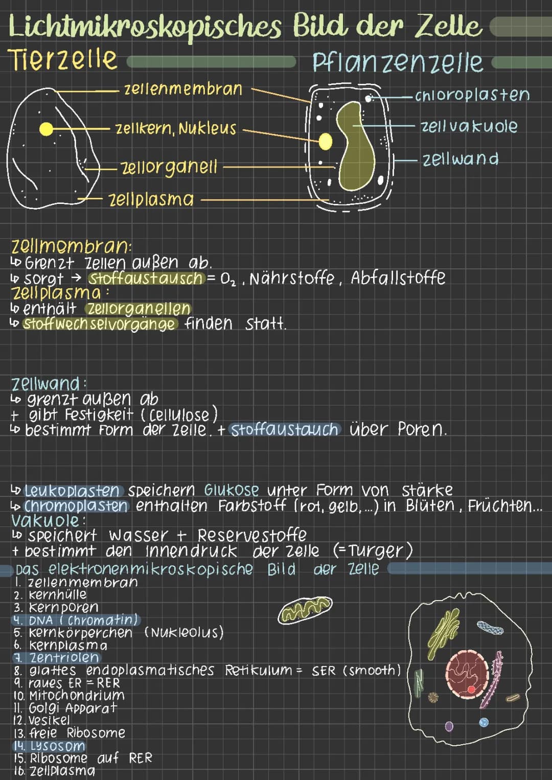 Aufbau und Funktionen der Zellbestandteile