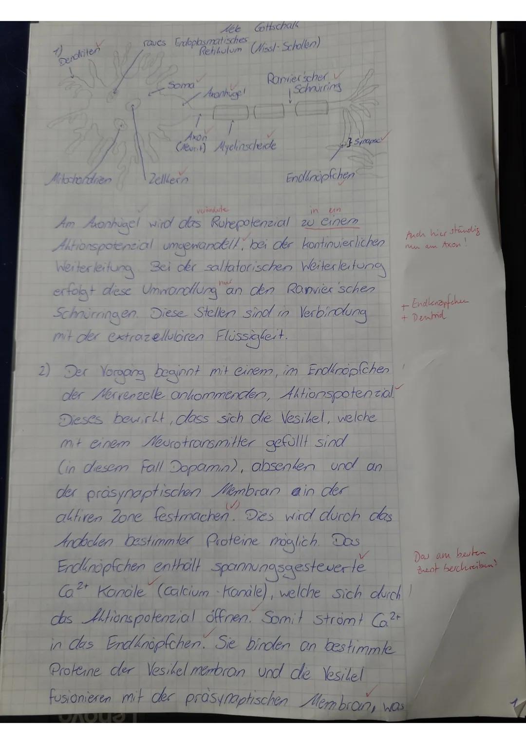 Kurs:
Q3 Bio LK
09.10.2
Kra
Klausur Nr. 1
Name: ele Gottschalk
Erreichbare BE: 50 ( = 100 %)
Notenpunktespiegel:
| Erreichte BE: 40 ( = 80 %