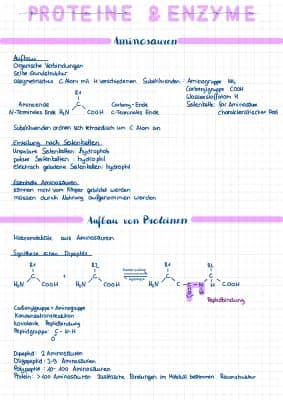 Know Proteine und Enzyme thumbnail