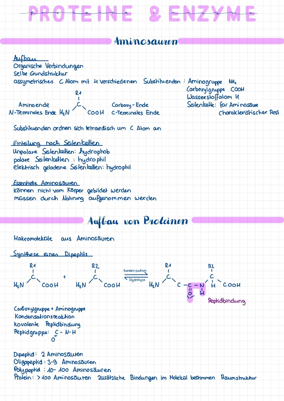 PROTEINE & ENZYME
Aufbau
Organische Verbindungen
Selbe Grundstruktur
assymetrisches C Alom mit 4 verschiedenen Substituenden: Aminogruppe NM