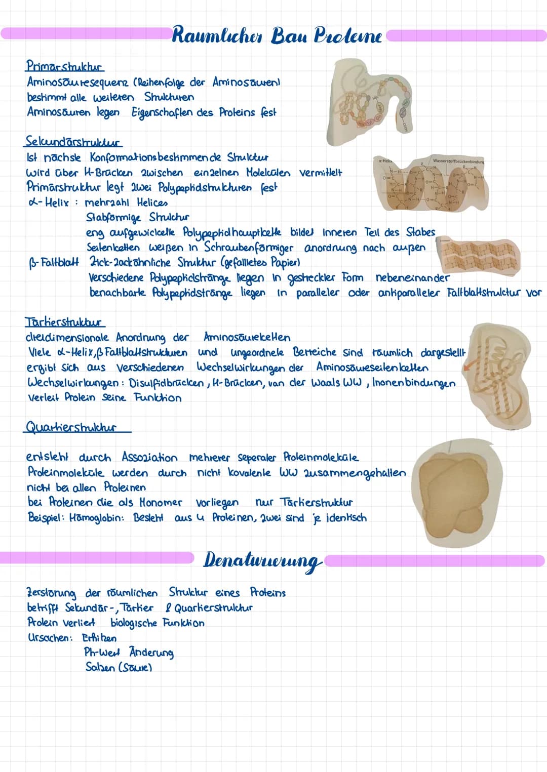 PROTEINE & ENZYME
Aufbau
Organische Verbindungen
Selbe Grundstruktur
assymetrisches C Alom mit 4 verschiedenen Substituenden: Aminogruppe NM