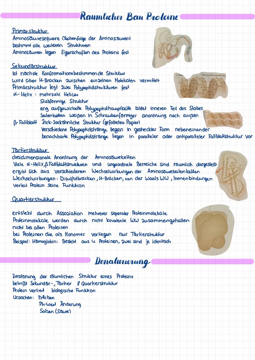 PROTEINE & ENZYME
Aufbau
Organische Verbindungen
Selbe Grundstruktur
assymetrisches C Alom mit 4 verschiedenen Substituenden: Aminogruppe NM