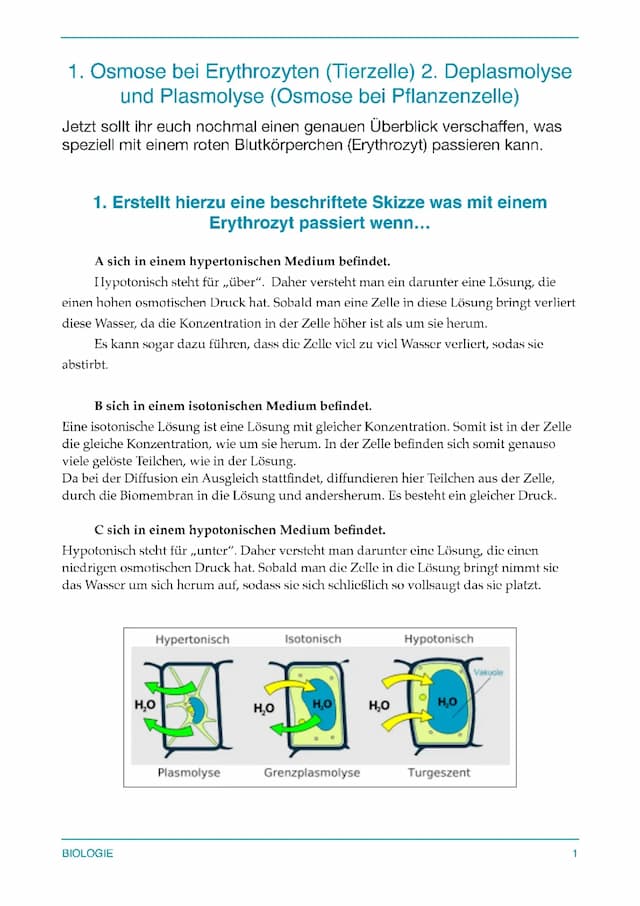 Know Plasmolyse und Deplasmolyse thumbnail