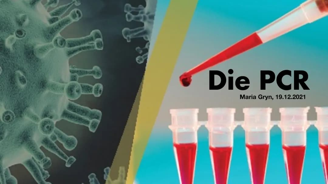 PCR Methode
