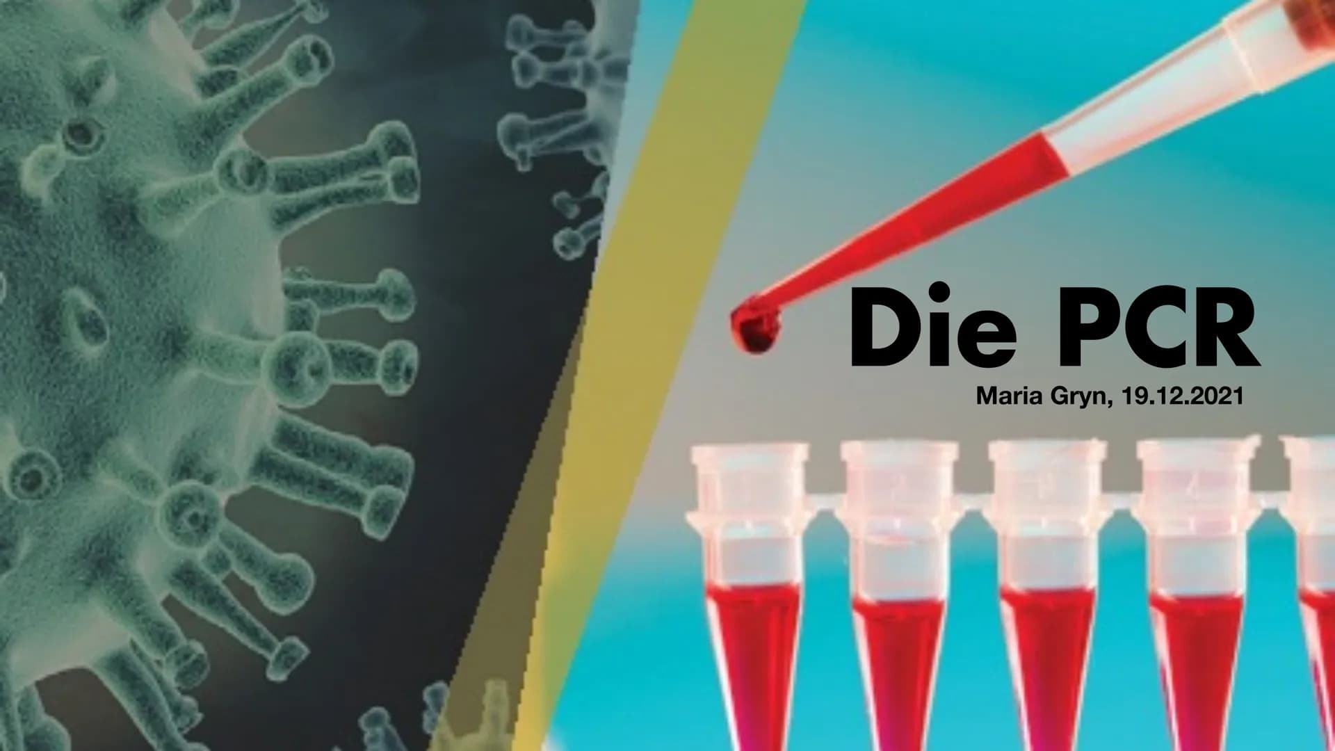 MS
igi
BY
Die PCR
Maria Gryn, 19.12.2021 Gliederung
Bedeutung der PCR-Methode
Entdeckung
●
• Komponenten der PCR
• Ablauf der PCR:
●
●
●
●
•