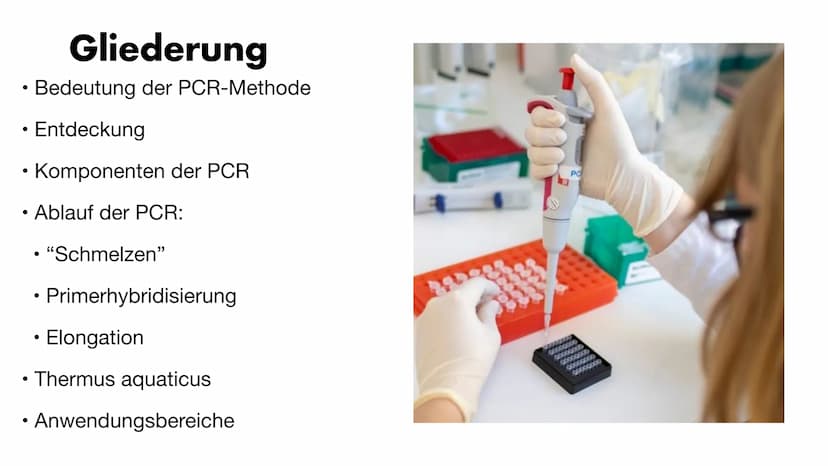 MS
igi
BY
Die PCR
Maria Gryn, 19.12.2021 Gliederung
Bedeutung der PCR-Methode
Entdeckung
●
• Komponenten der PCR
• Ablauf der PCR:
●
●
●
●
•