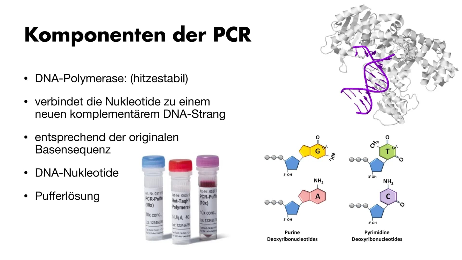 MS
igi
BY
Die PCR
Maria Gryn, 19.12.2021 Gliederung
Bedeutung der PCR-Methode
Entdeckung
●
• Komponenten der PCR
• Ablauf der PCR:
●
●
●
●
•