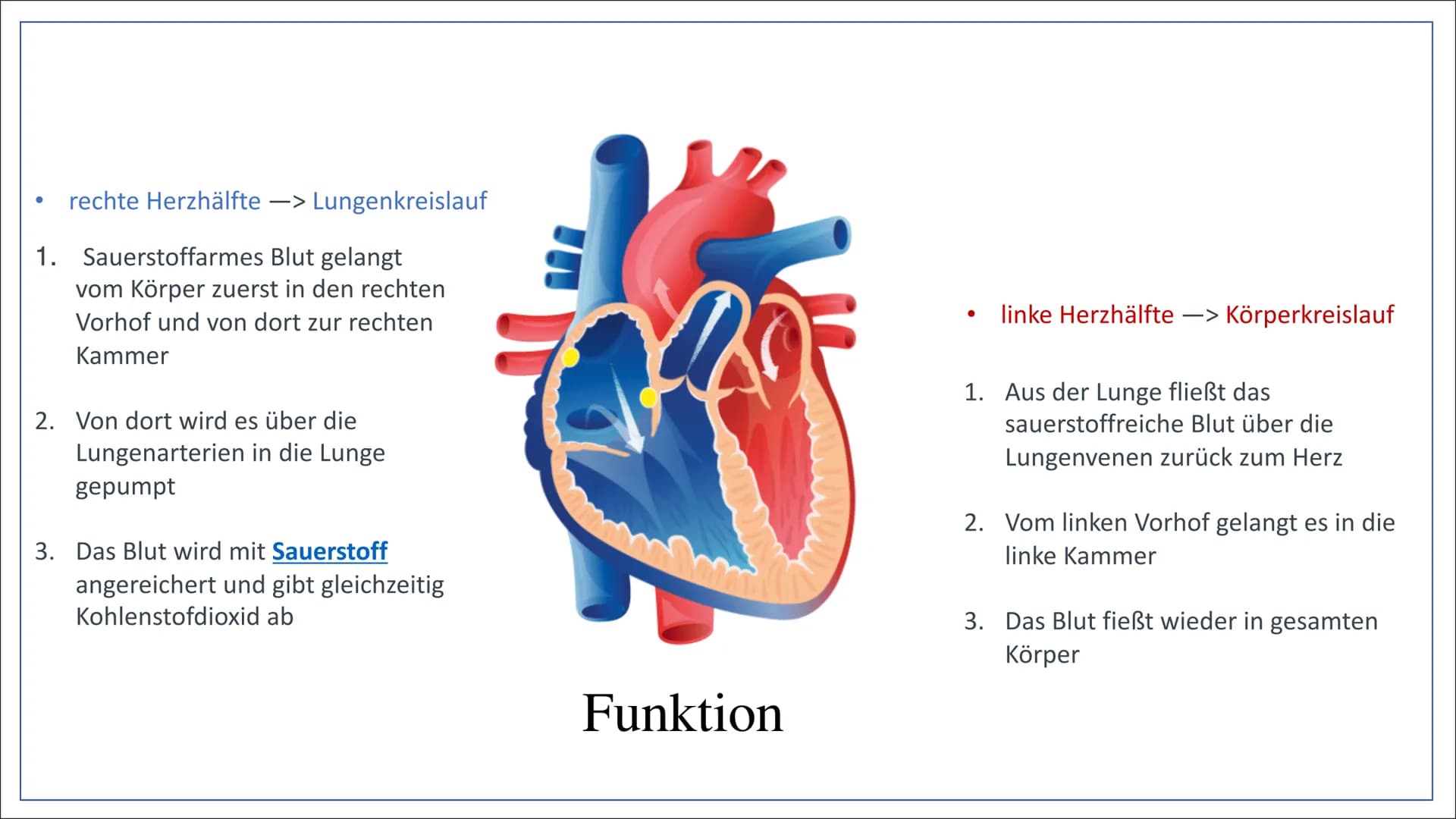 33
Herz-Kreislaufsystem
Von: Nahwand Samira Gueddas
& Joenne Fürst • Herz-Kreislaufsystem
Gliederung
●
-> Großer und Kleiner Kreislauf
Herz-