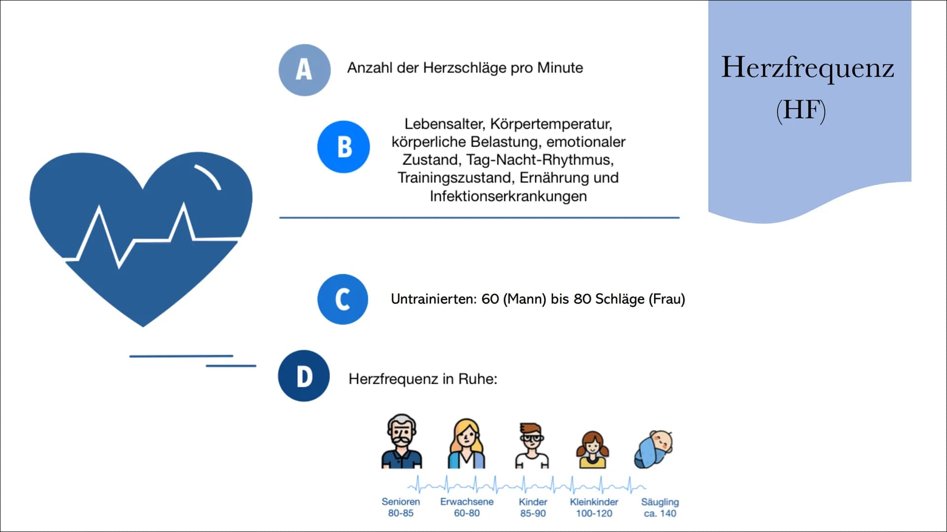 33
Herz-Kreislaufsystem
Von: Nahwand Samira Gueddas
& Joenne Fürst • Herz-Kreislaufsystem
Gliederung
●
-> Großer und Kleiner Kreislauf
Herz-