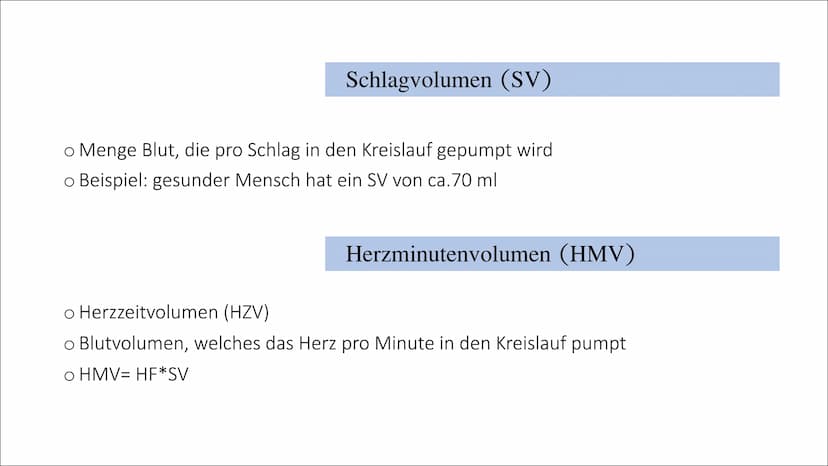 33
Herz-Kreislaufsystem
Von: Nahwand Samira Gueddas
& Joenne Fürst • Herz-Kreislaufsystem
Gliederung
●
-> Großer und Kleiner Kreislauf
Herz-