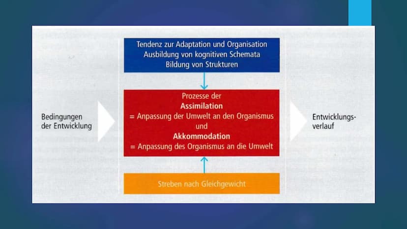 Das Stufenmodell der
kognitiven Entwicklung
nach Jean Piaget
IST SEINE THEORIE DER ENTWICKLUNGSSTUFEN VERTRETBAR? Gliederung
Allgemeine Info