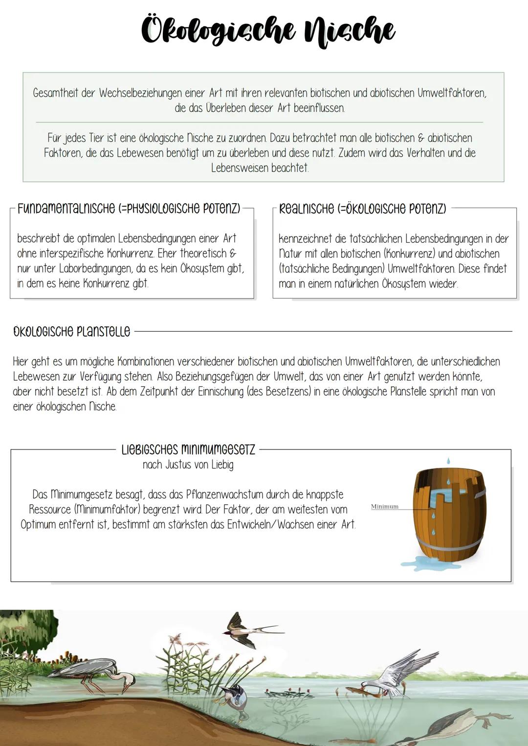 # Ökologische Nische

Gesamtheit der Wechselbeziehungen einer Art mit ihren relevanten biotischen und abiotischen Umwelt faktoren,
die das Ü