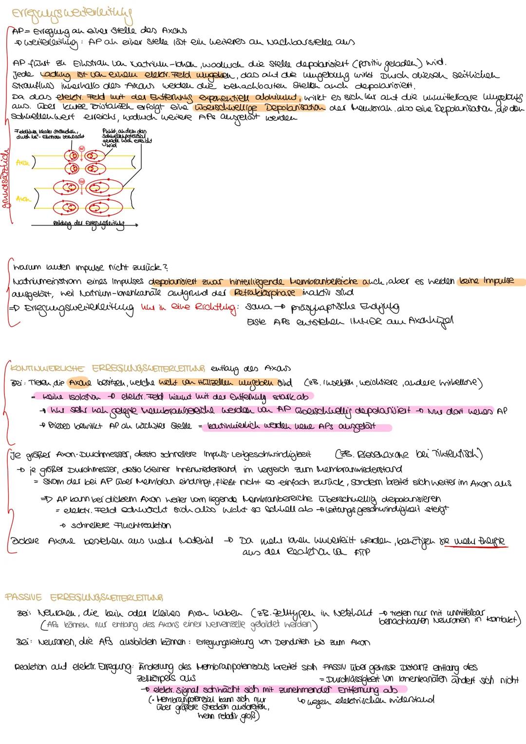 ndex

Informationsweiterleitung

Reizantnahme

NERVENZELLEN
RETZ-REAKTIONS-SCHEMA

Neru besteht aus Baudelu parallel vellautender
Fortsatze 