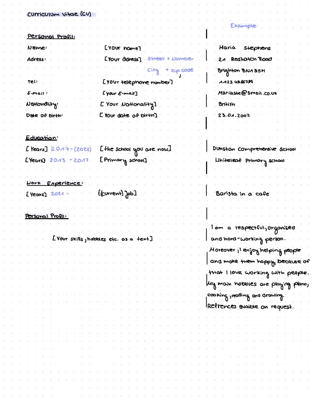 Curriculum Vitae (CV) and Application Letter
