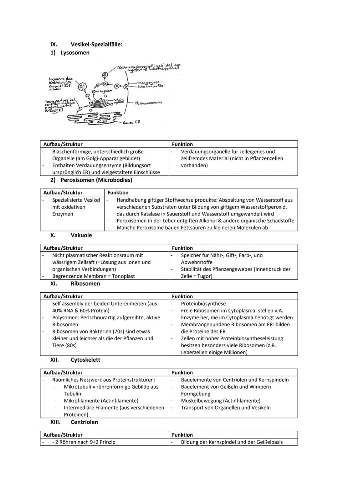 Biologie Zusammenfassung für das schriftliche Abitur
Inhalt
Basiskonzepte...
Oberflächenprinzip.
Kompartimentierung.
Zytologie.....
Untersuc