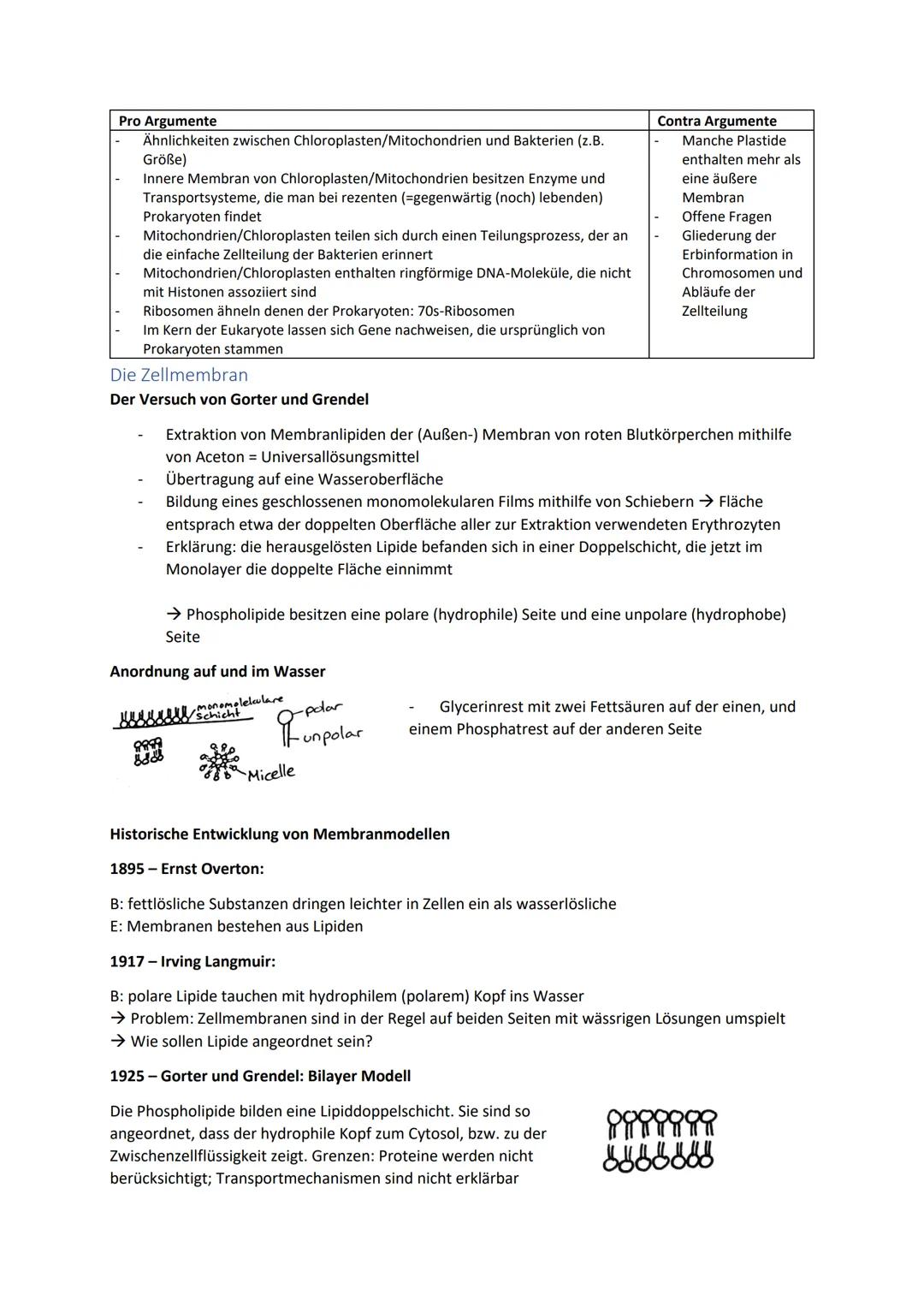 Biologie Zusammenfassung für das schriftliche Abitur
Inhalt
Basiskonzepte...
Oberflächenprinzip.
Kompartimentierung.
Zytologie.....
Untersuc